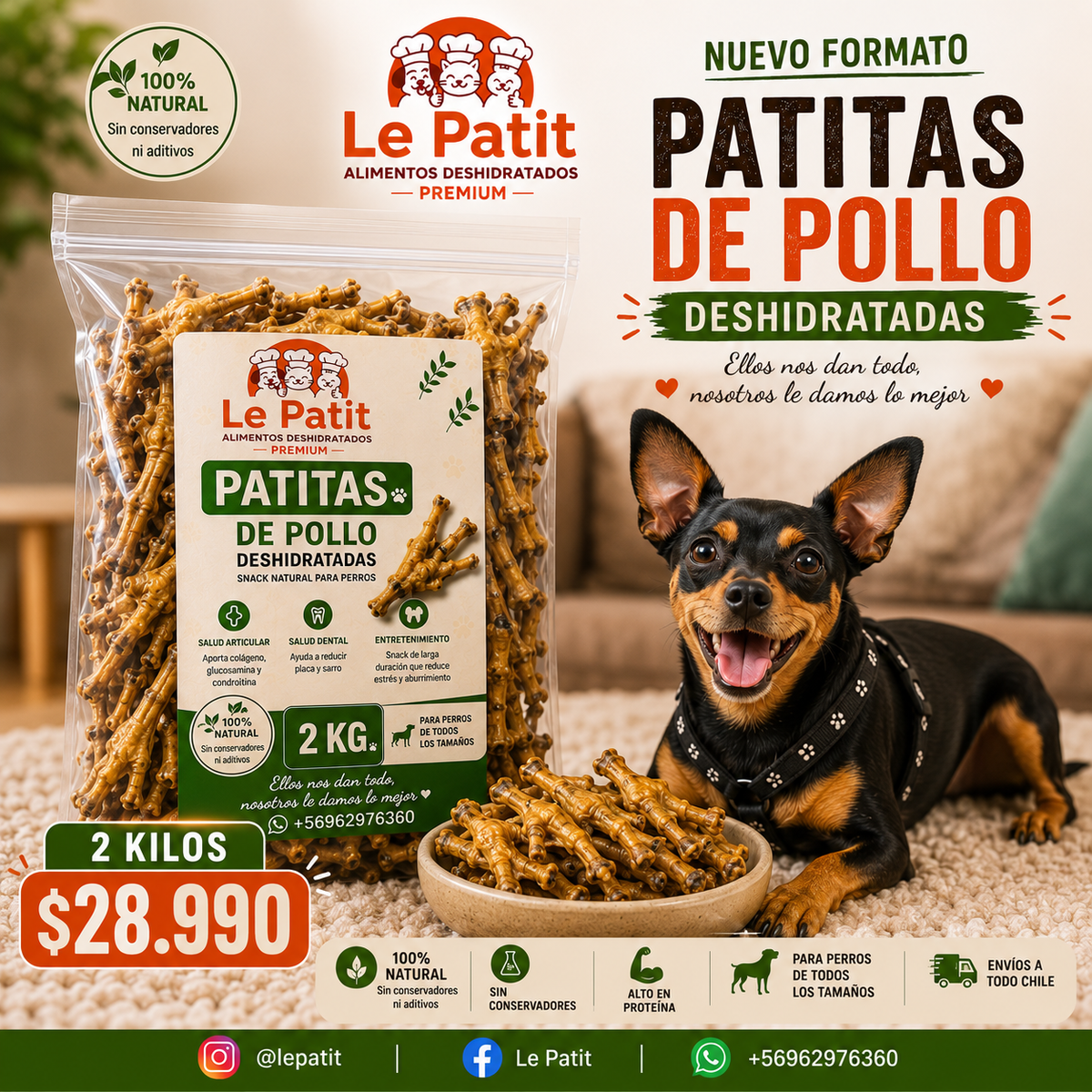 Patitas de Pollo Deshidratadas 2 KG